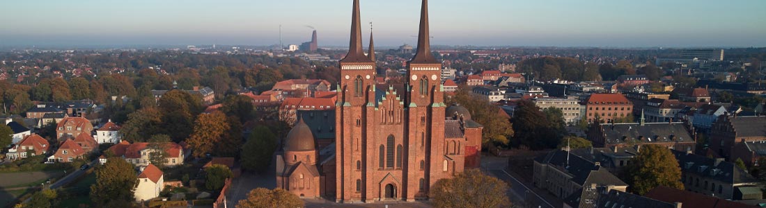 Taxa Roskilde